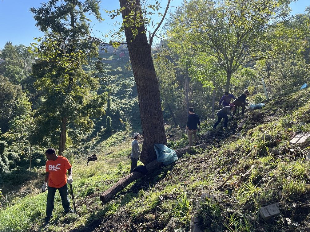 DLC employees work alongside goats to clear a hillside in South Side Park in Pittsburgh&#x27;s South Side.