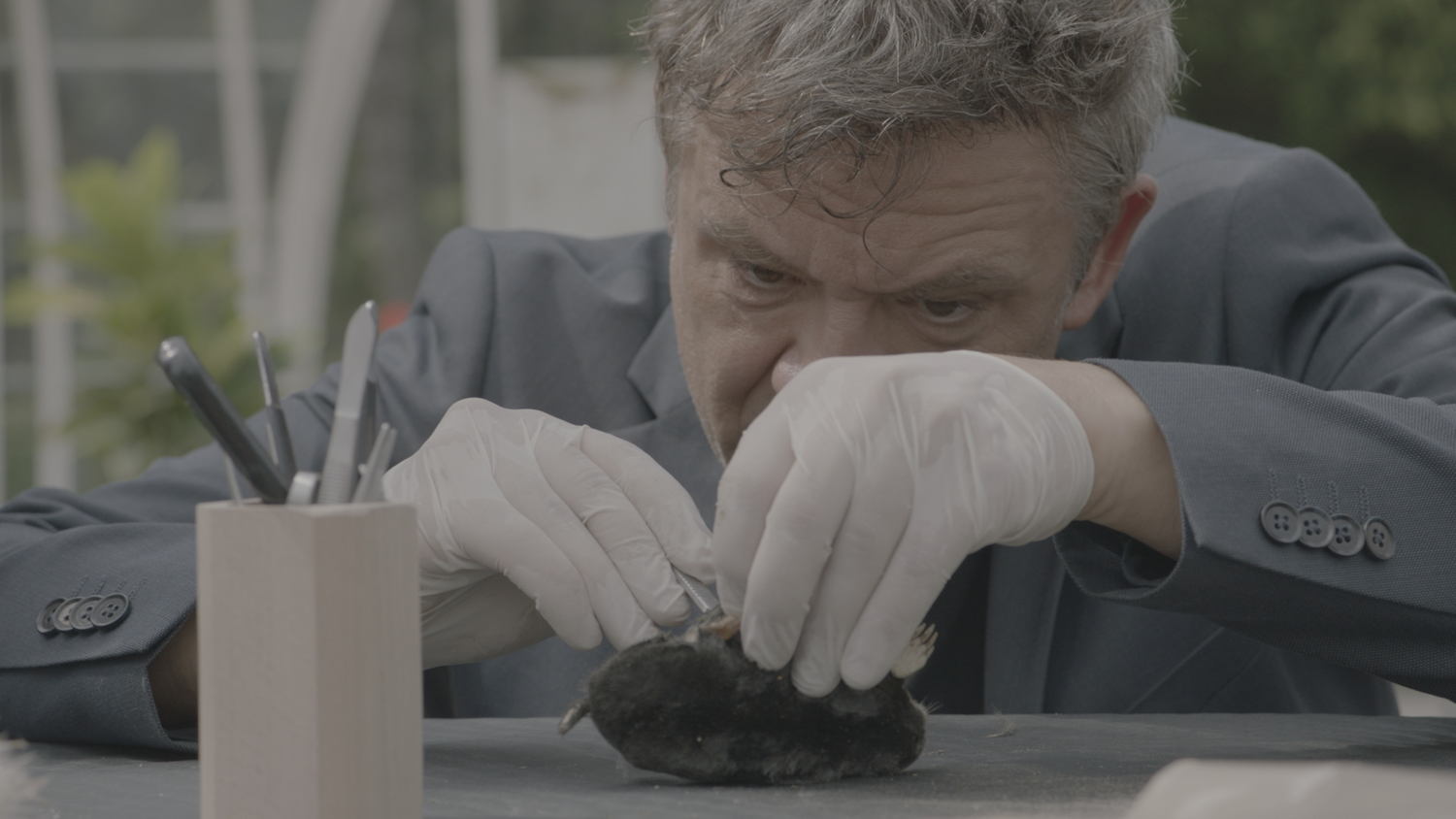 Bart Peeters
Weg zijn wij (c) VRT