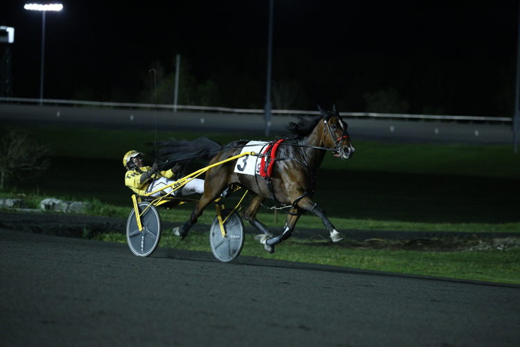 Oney Hall winning the Free For All Trot on May 16. (New Image Media)