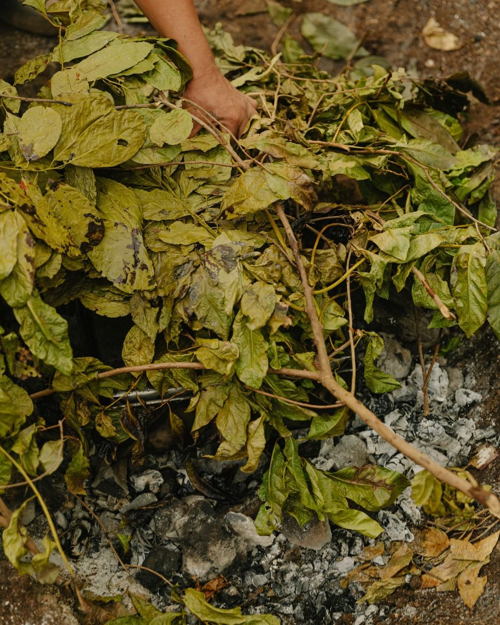 Chablé Yucatán 