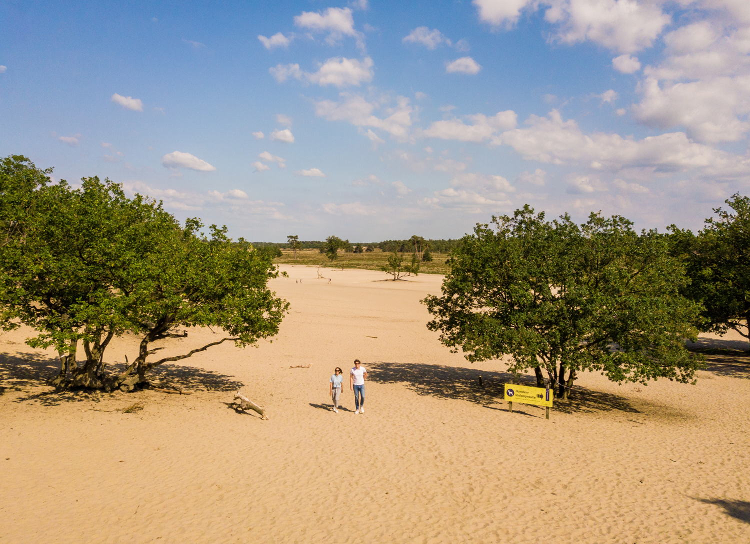 Loonse et Drunense Duinen, ©VisitBrabant