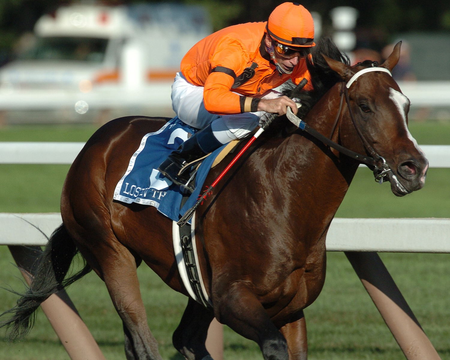 Russell Baze and Lost in the Fog winning the Grade 1 King's Bishop Stakes at Saratoga in 2005 (courtesy Coglianese Photo)