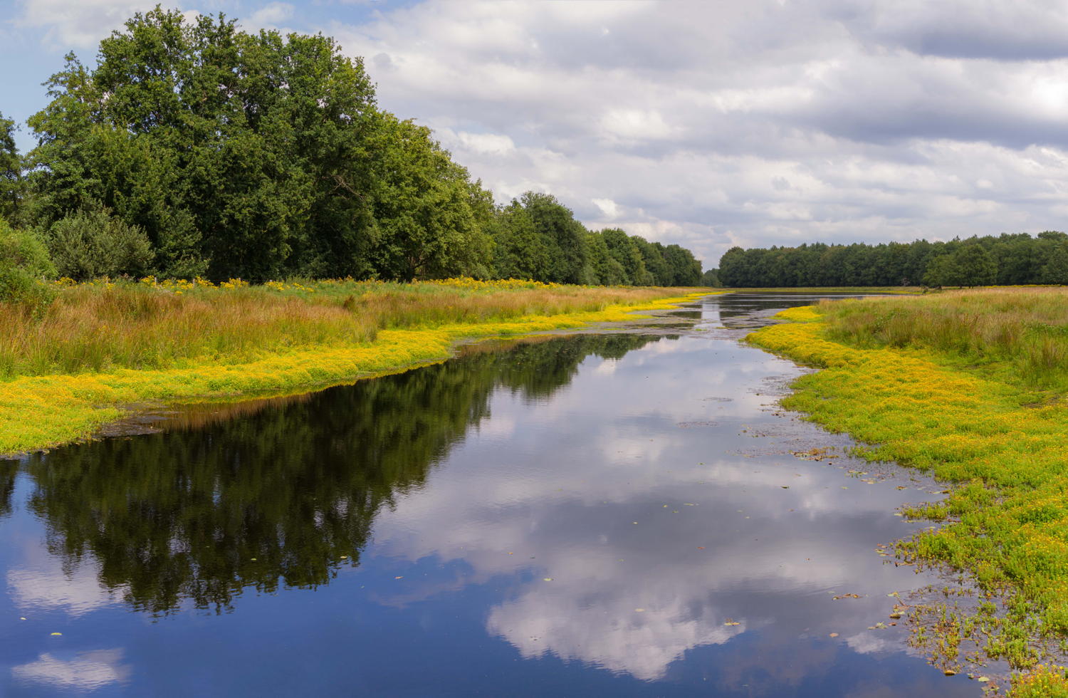 Van Gogh Wandelroute Etten-Leur, natuurgebied de Pannehoef © Ria Mol