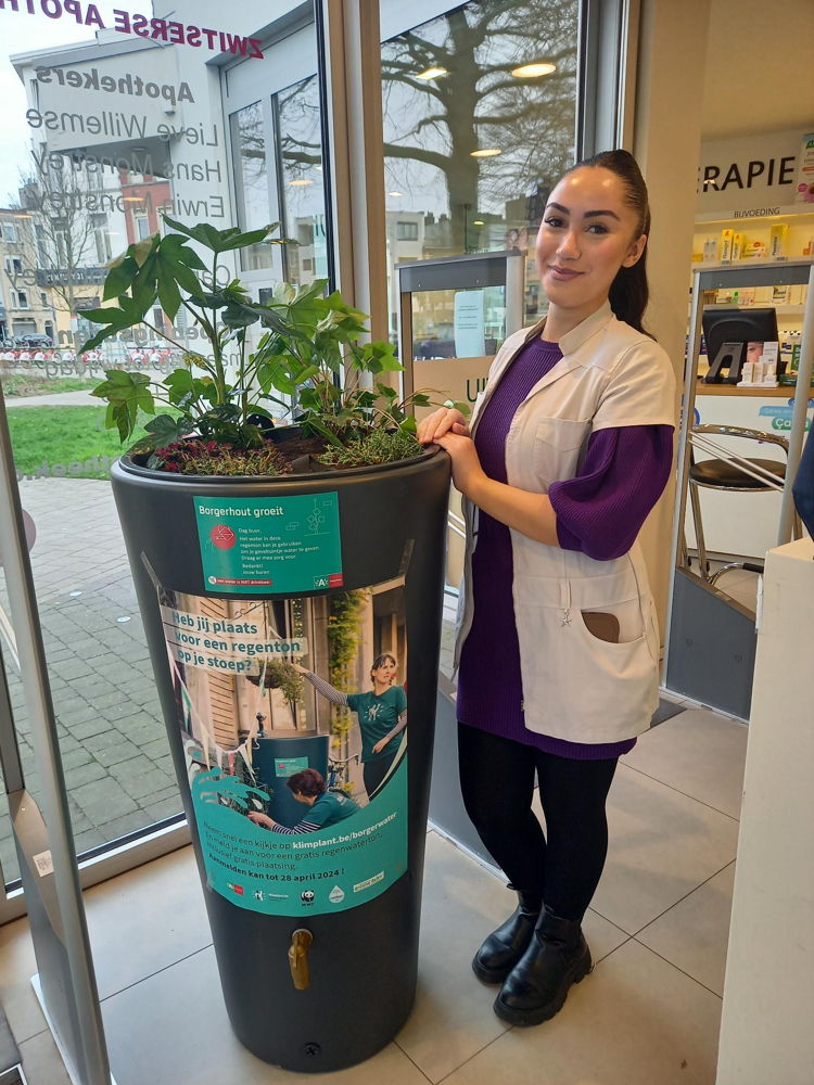 (c)Klimplant.  Zwitserse apotheek Borgerhout.