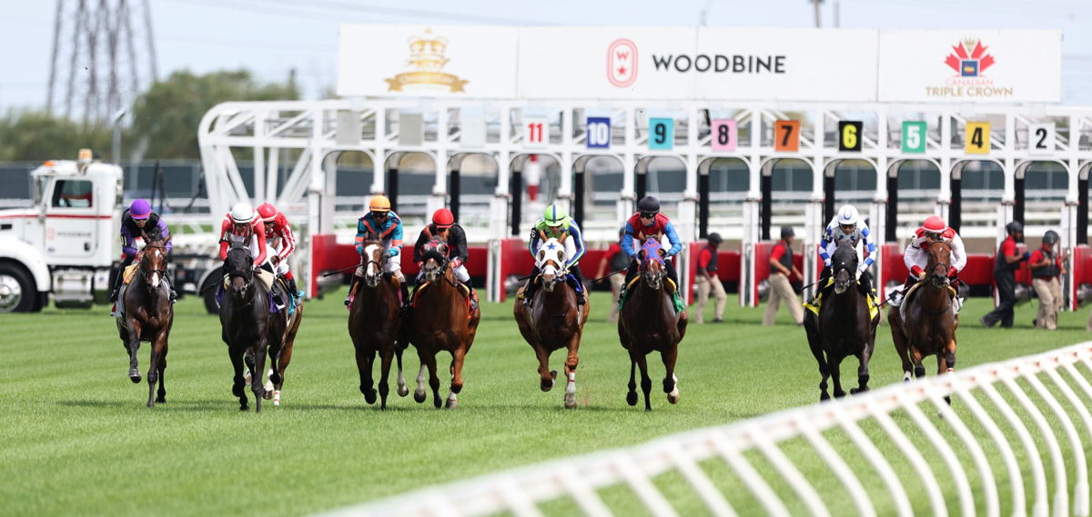 The 2023 live racing season at Woodbine is set to begin on Saturday, April 22. (Michael Burns photo)