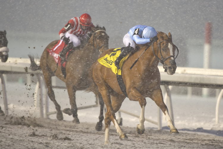 Get Smokin and jockey Sahin Civaci winning the Valedictory Stakes (G3) on December 7, 2024 at Woodbine (Michael Burns Photo)