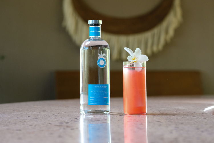 Palapa Bar - Casa Dragones - Rubra
