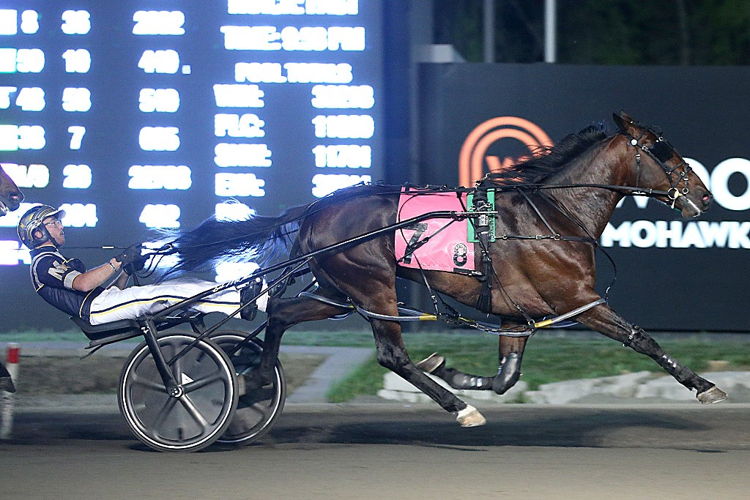 Stonebridge Helios winning an elimination of the SBOA Pace. (New Image Media)