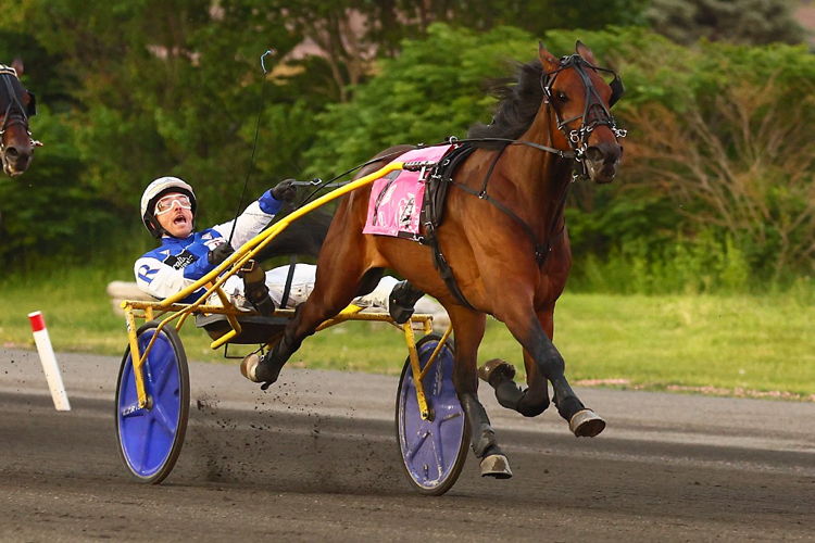 Gaines Hanover. (New Image Media)