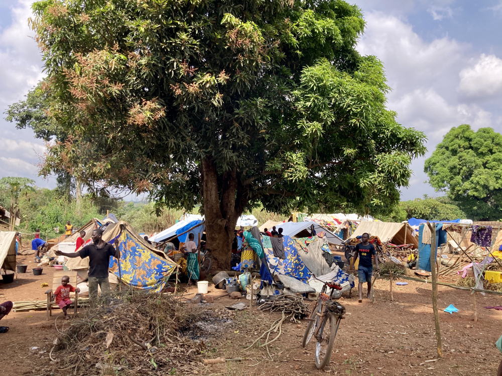 Ndu, northern DRC, where thousands of people from the Central African Republic sought refuge. Copyright: Dale Koninckx/MSF