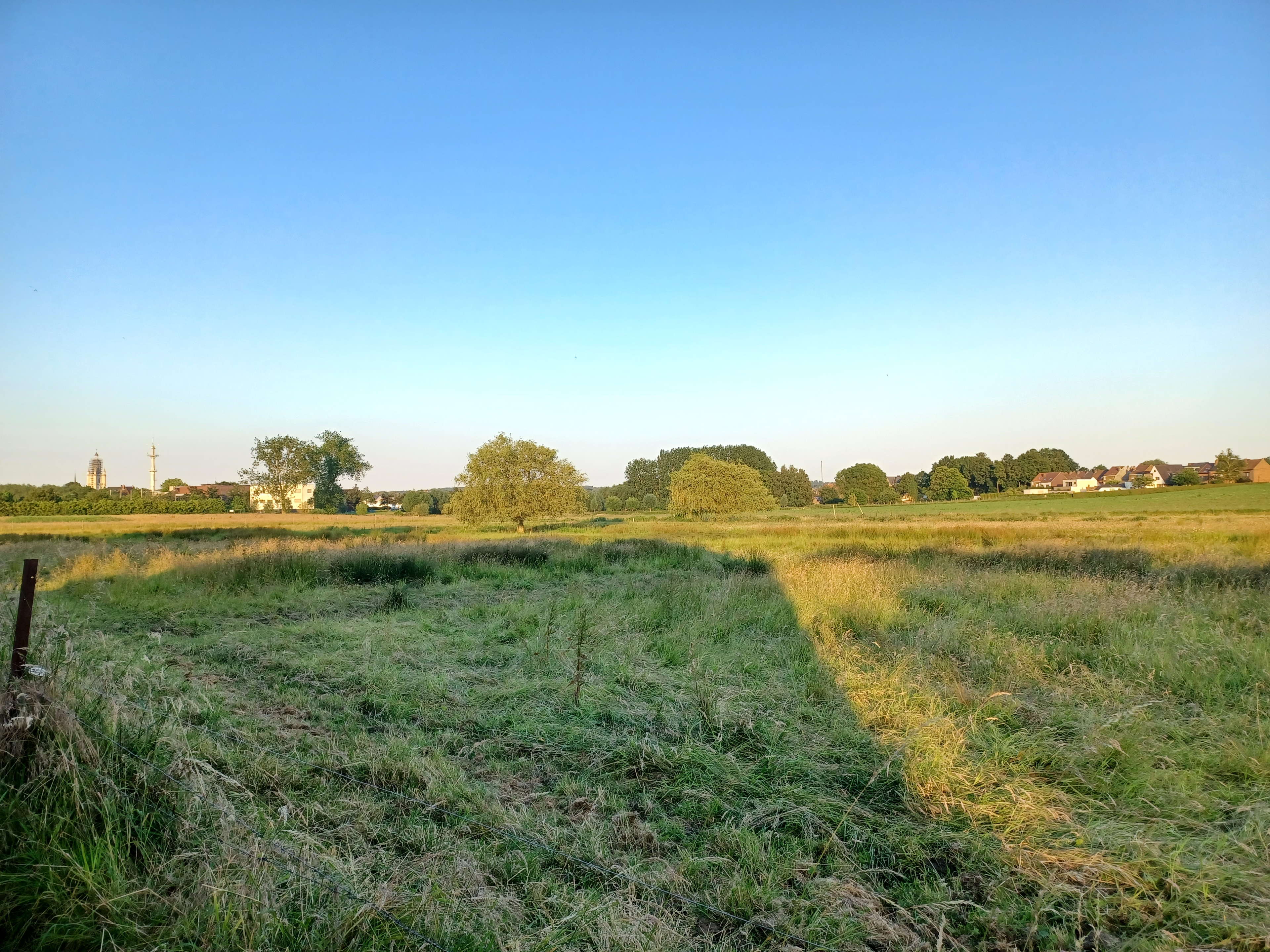 Inrichtingswerken overstromingsgebied ‘Grote Weide’ starten in de zomer
