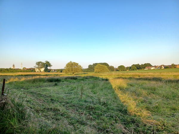 Provincie geeft vergunning voor aanleg overstromingsgebied ‘Grote Weide’ in Halle