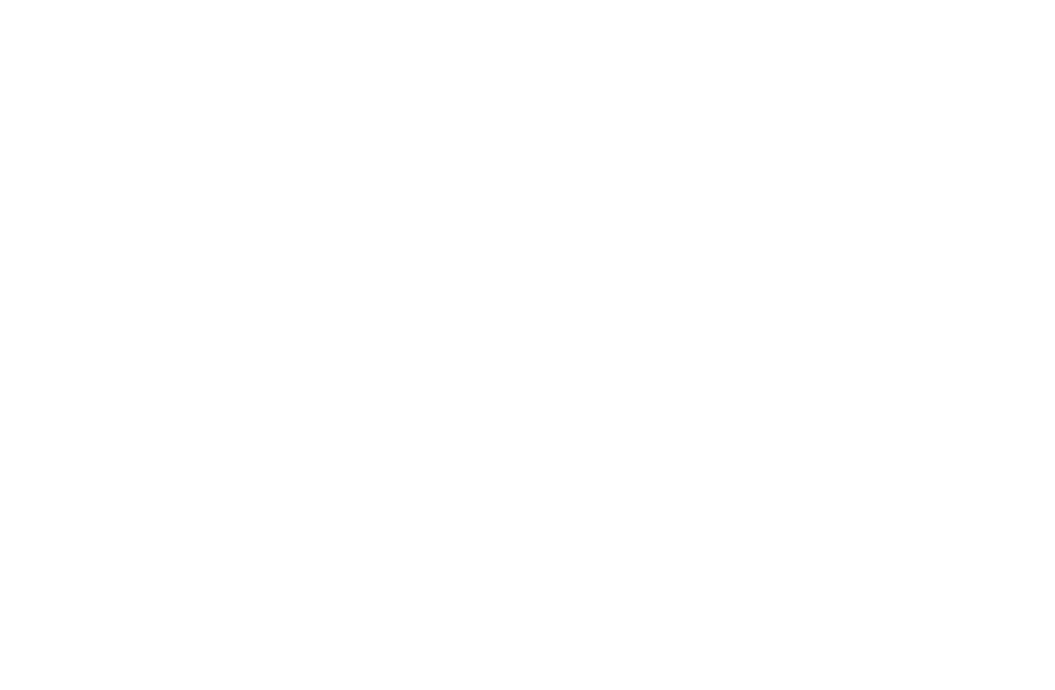 FM Logo
