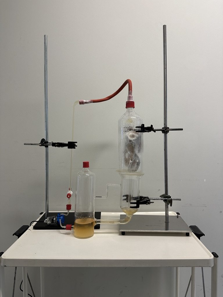 Zodra een ideale opstelling werd gevonden, experimenteerden de onderzoekers met verschillende myceliumstammen om het gewenste resultaat te bekomen. Afbeelding © Elise Elsacker 