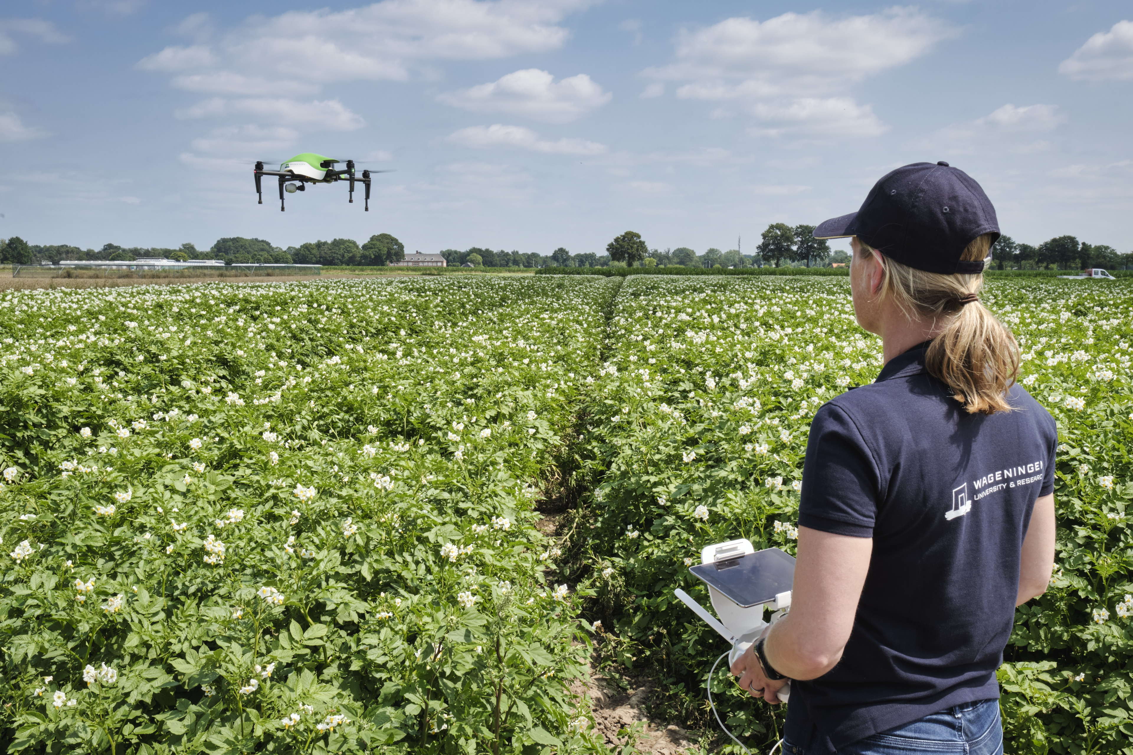 Wageningen University & Research (WUR) kiest iO als strategische partner