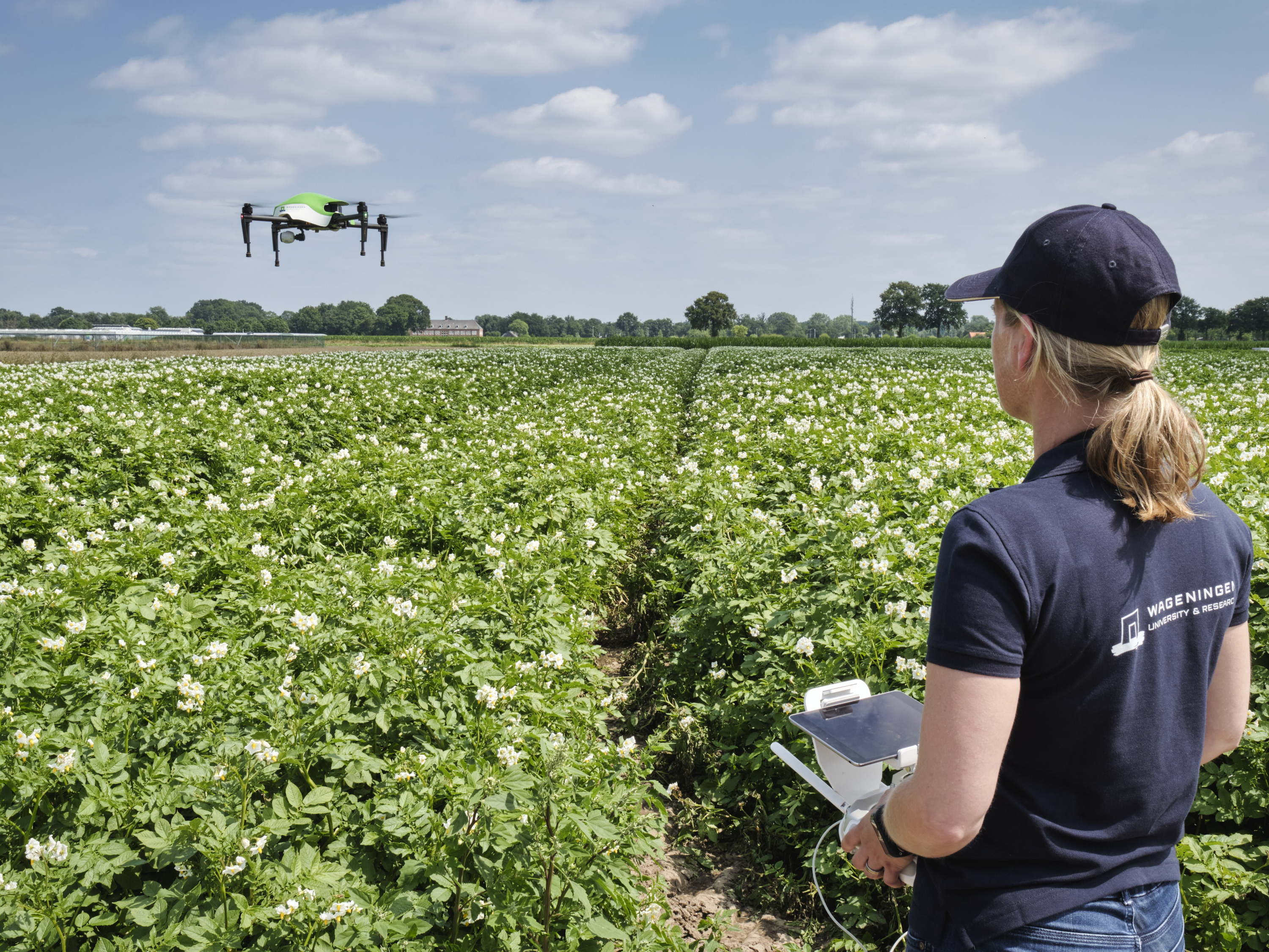 Wageningen University & Research (WUR) chooses iO as strategic partner 