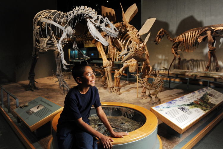 Museo de Naturaleza y Ciencia, Denver