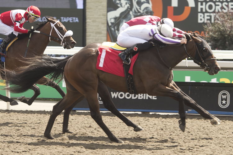 Two Ghosts and jockey Emma-Jayne Willson winning Race 3 on August 27, 2023 at Woodbine (Michael Burns Photo)