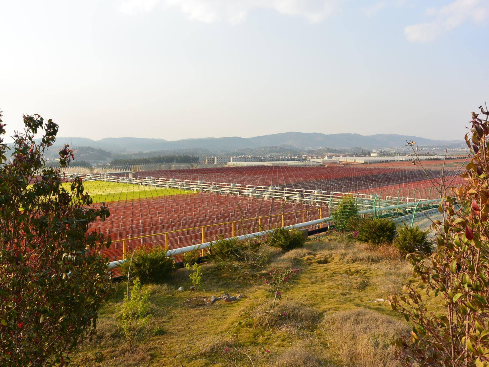 BGG announces major new investment at world’s largest astaxanthin plant