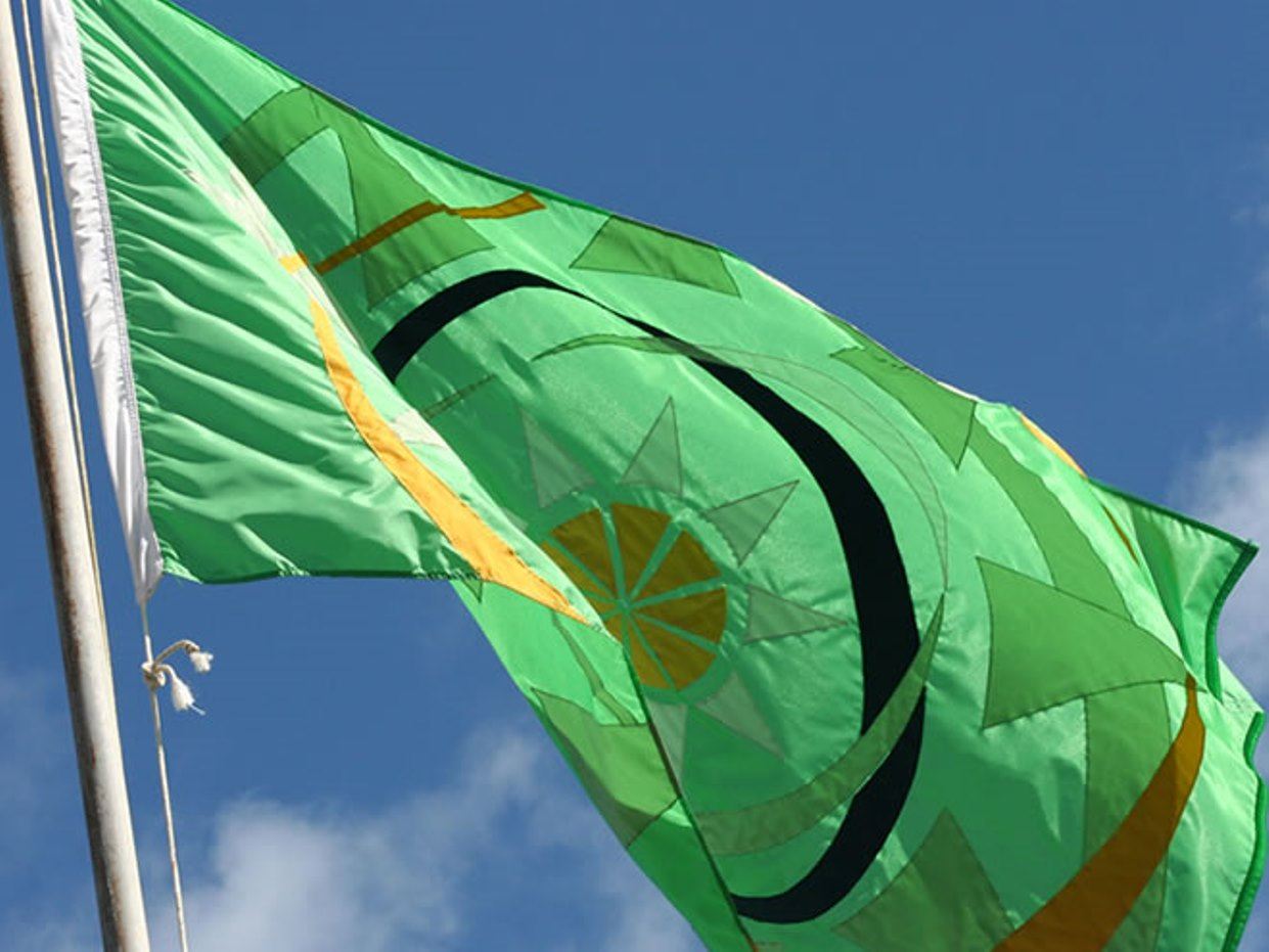 Flag of the Organisation of Eastern Caribbean States