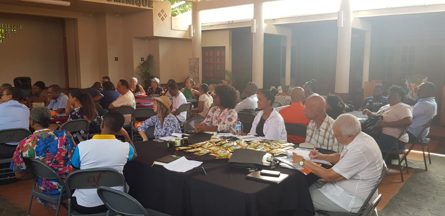 Les participants de la 2ème Caribbean Business Cruise sont reçus à la Dominique