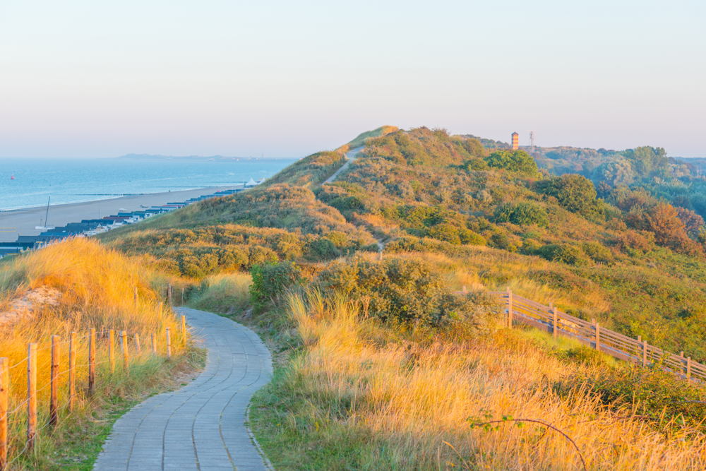Landal Strandpark Zeeland_1