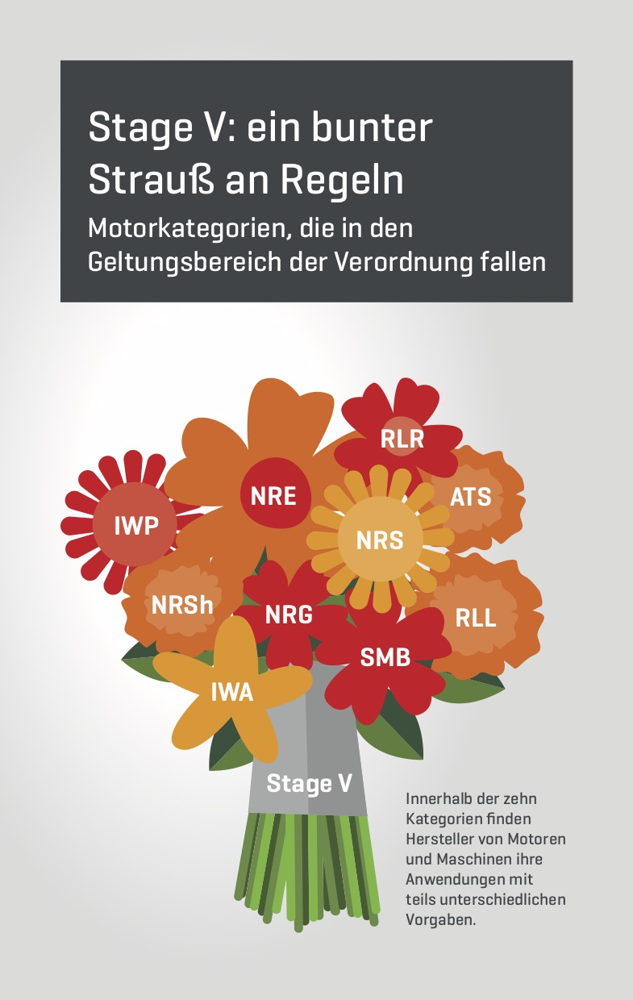 Stage V: ein bunter
Strauß an Regeln