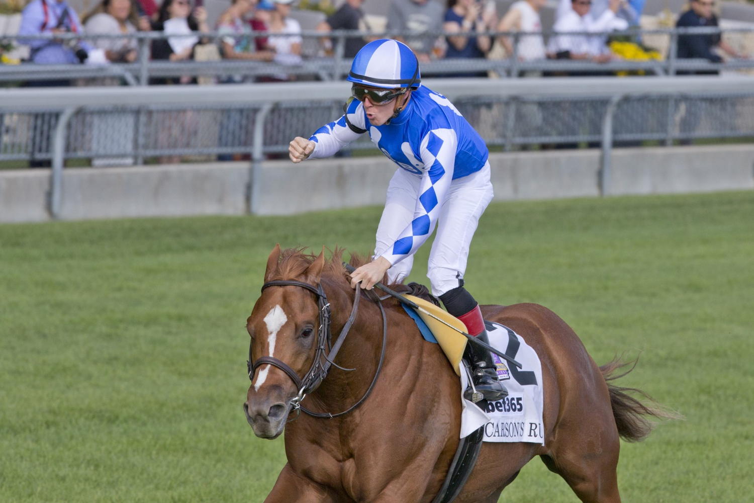 Carson's Run and Dylan Davis winning the Grade 1 Summer Stakes on Saturday at Woodbine Racetrack. (Michael Burns Photo)