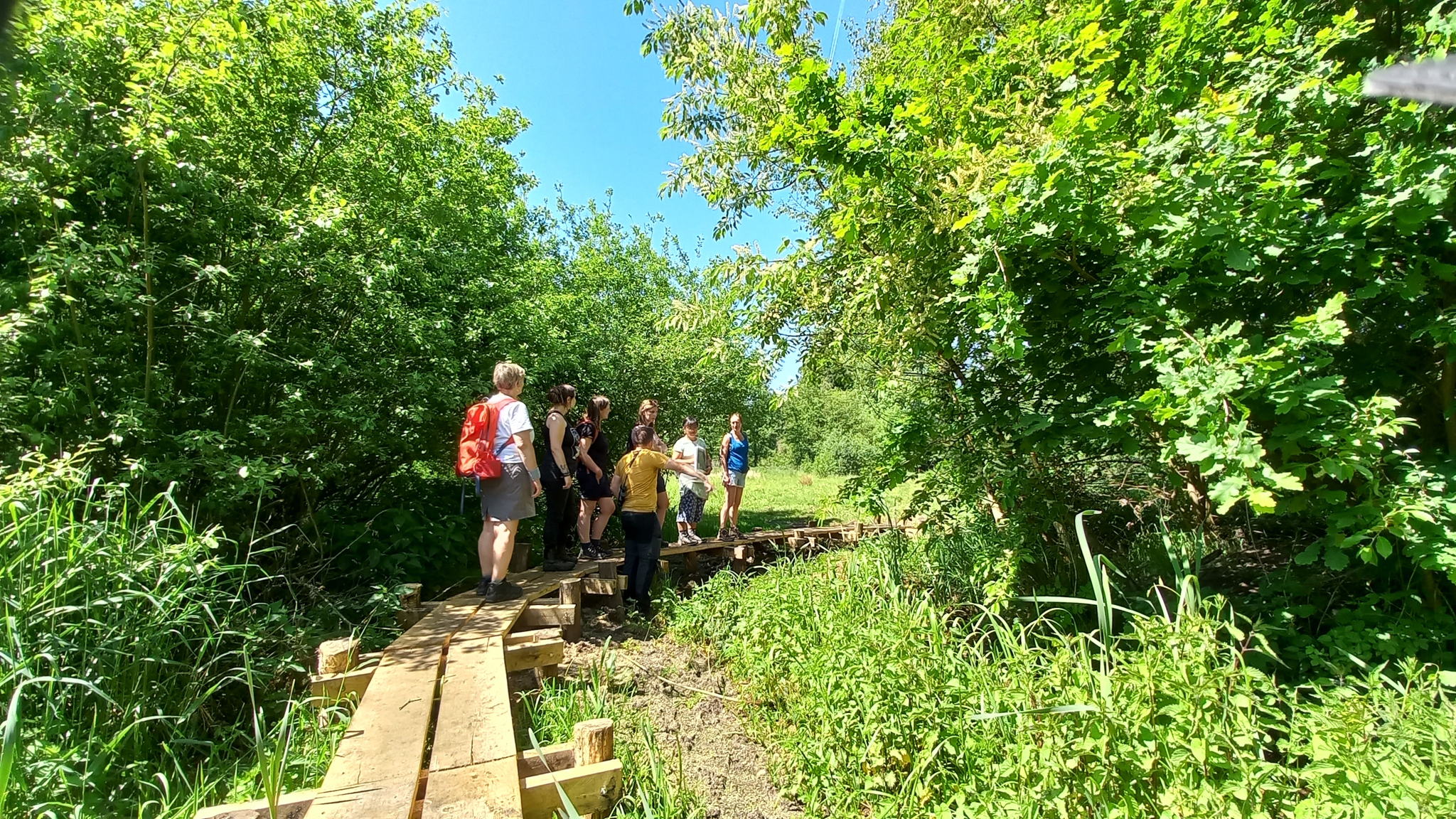 Over knuppelpaden door Graafweide Schupleer (foto's VLM)