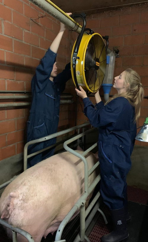 ventilator in kraamstal