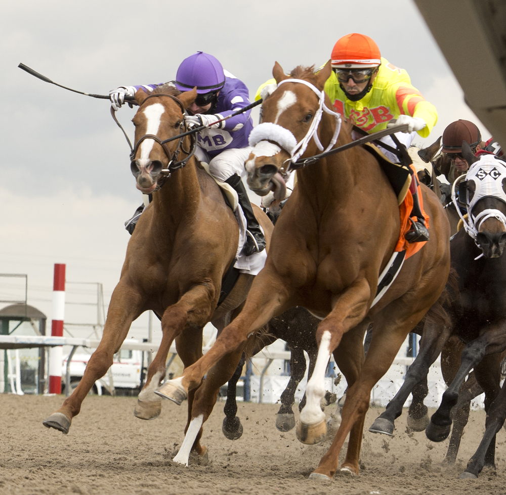 Ol' Blondie (L- David Moran) and Forest B (R- Rafael Hernandez) lock strides at Woodbine on Opening Day 2022. (Michael Burns Photo)