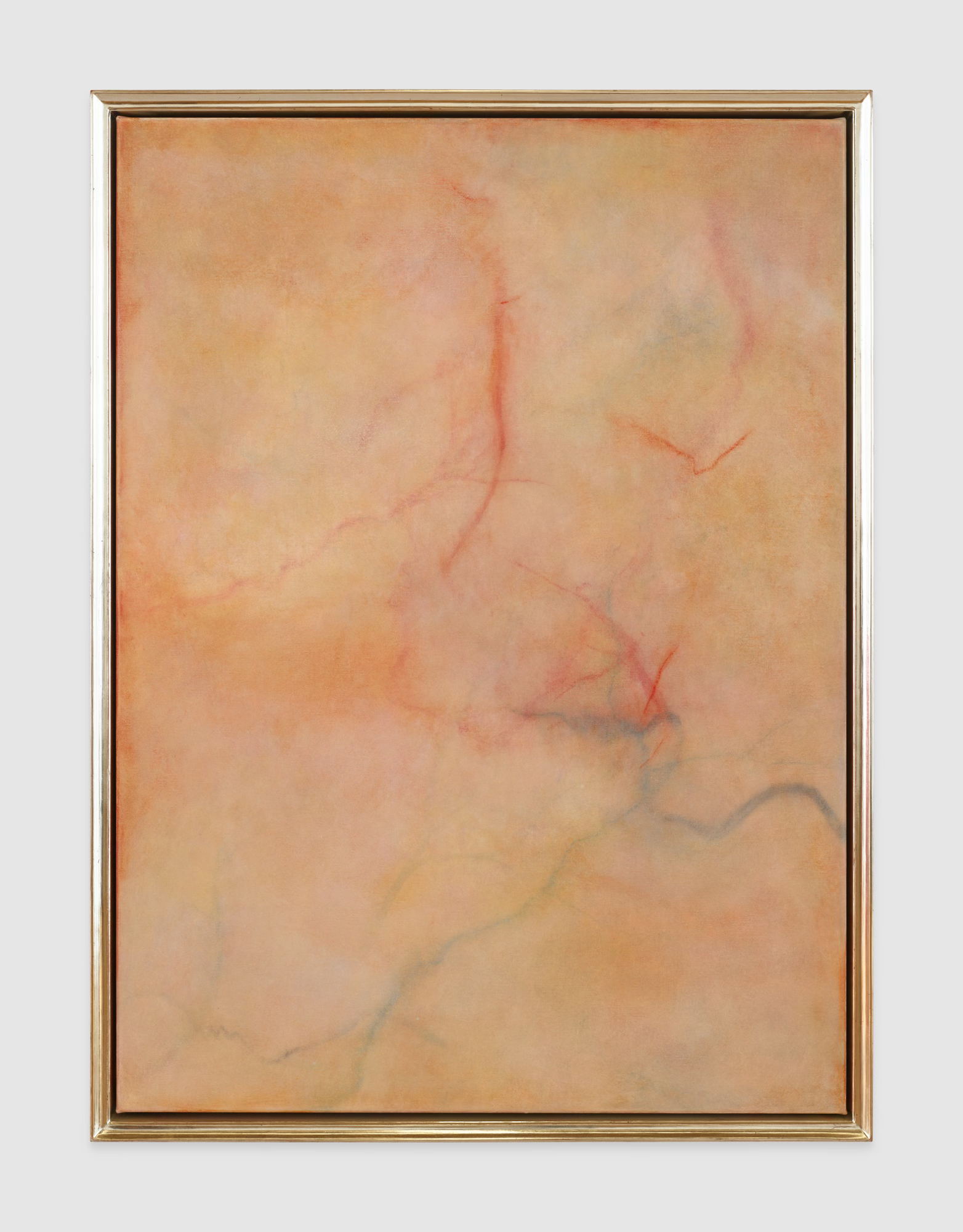 Calvin Marcus expose ses Skin Paintings au Musée Dhondt-Dhaenens 