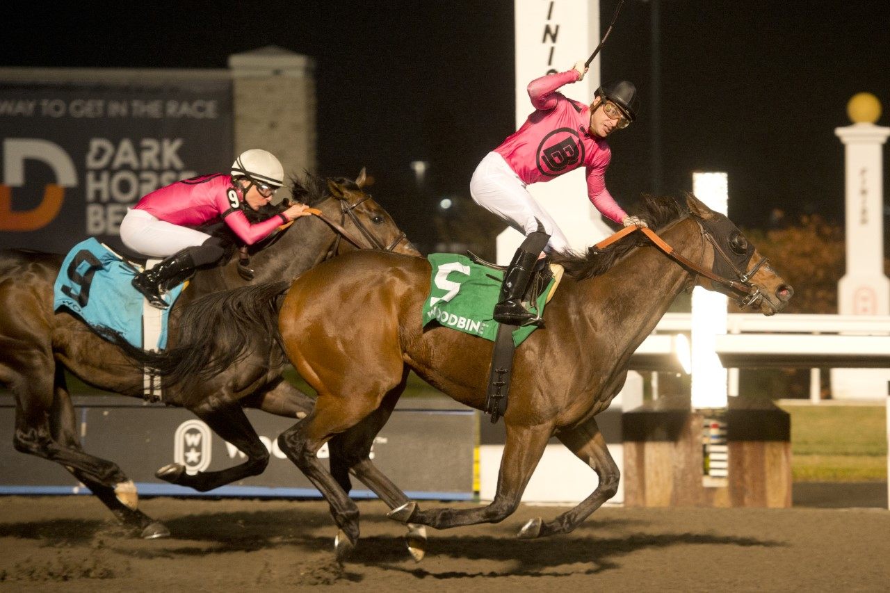 Candy Overload and jockey Sahin Civaci winning the Kennedy Road Stakes on Sunday at Woodbine (Michael Burns Photo)
