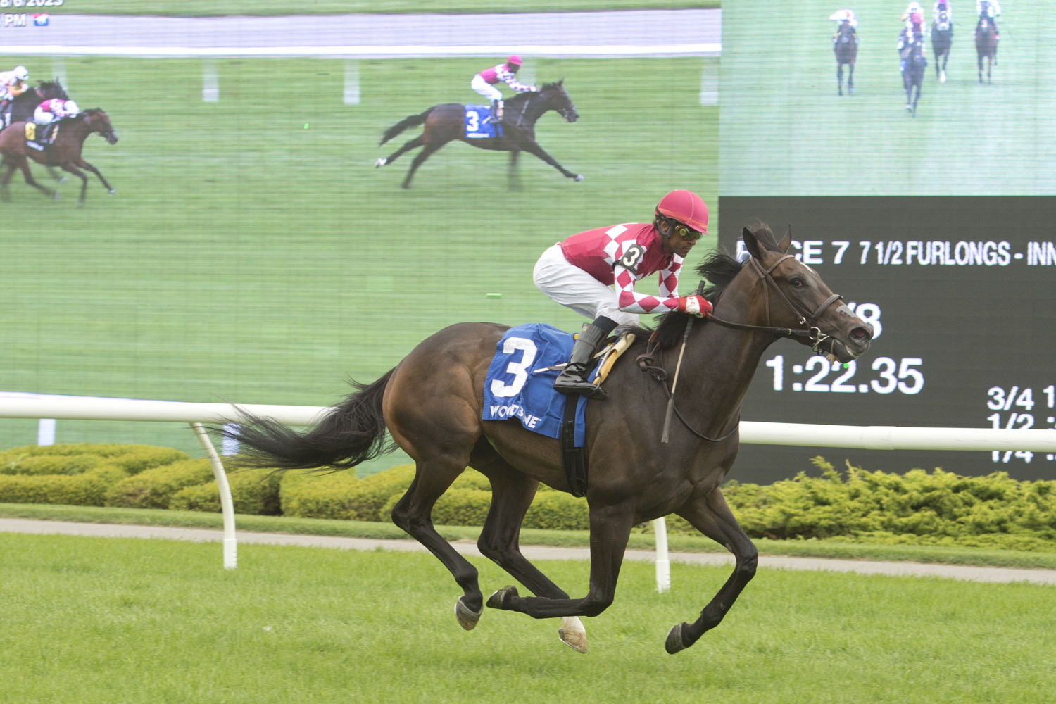 Conman and jockey Patrick Husbands winning the Hamilton Stakes on August 6, 2023 at Woodbine (Michael Burns Photo)