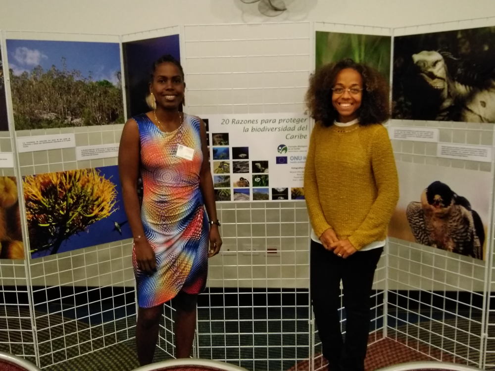 4e conférence internationale sur la recherche et la biodiversité