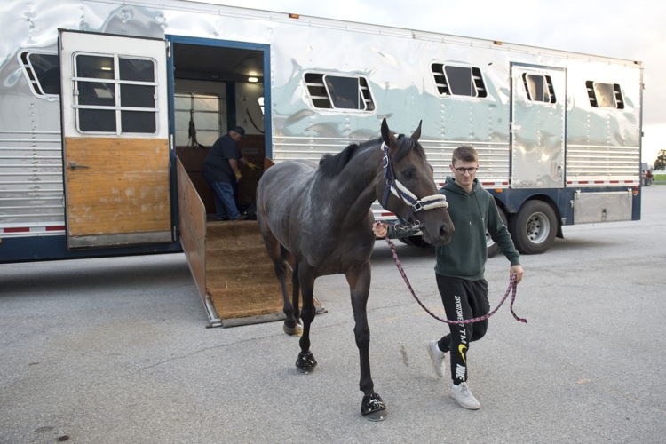 Big  Rock arriving at Woodbine (Michael Burns Photo)