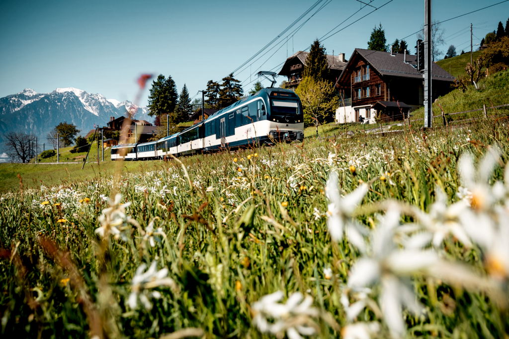 © MOB, Valentin Flauraud