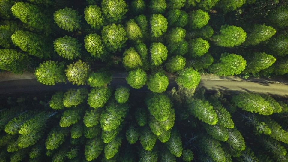 Degroof Petercam Equity Research publishes first ESG Report