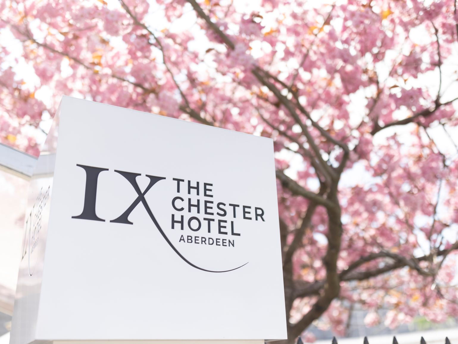 Experience The Chester Hotel Hospitality
