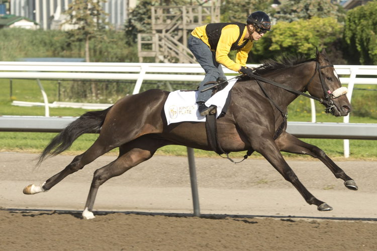 El Cohete. (Michael Burns Photo)