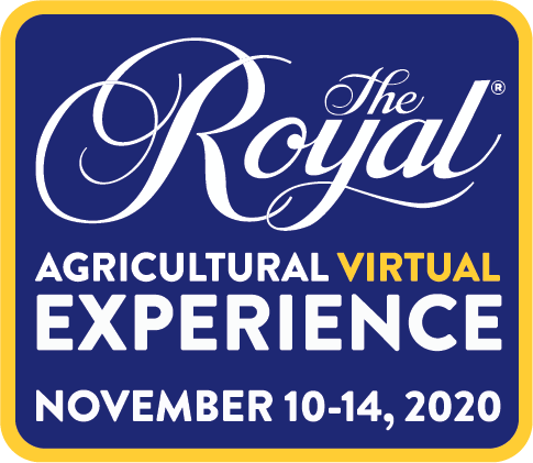 Virtual Experience Logo 