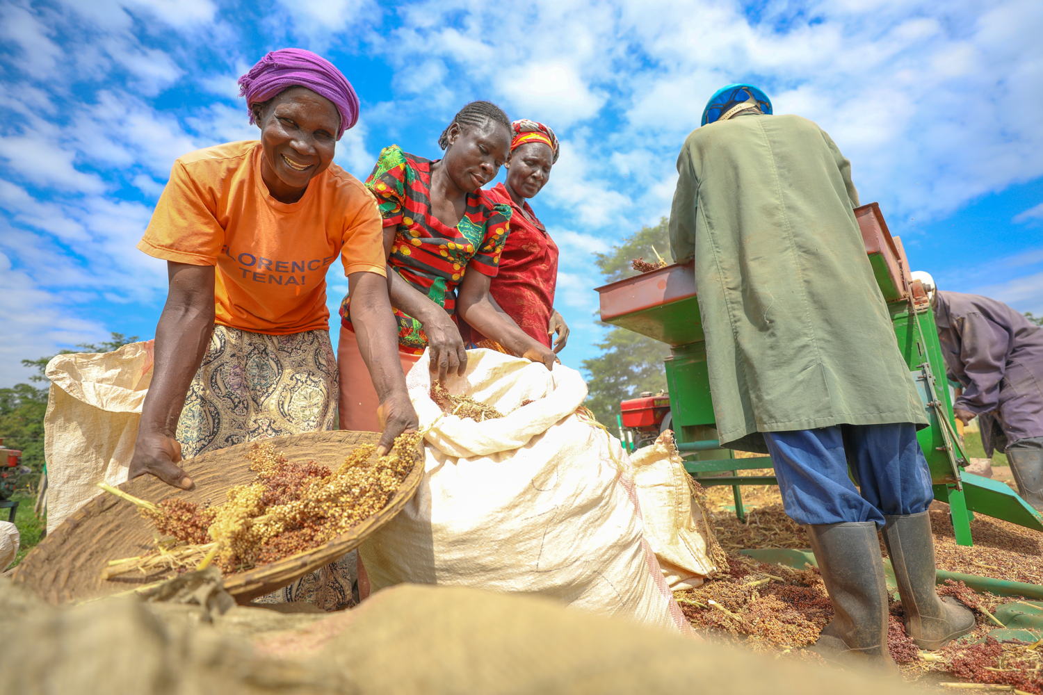 Millets hailed as ‘miracle crops' by dryland farmers.