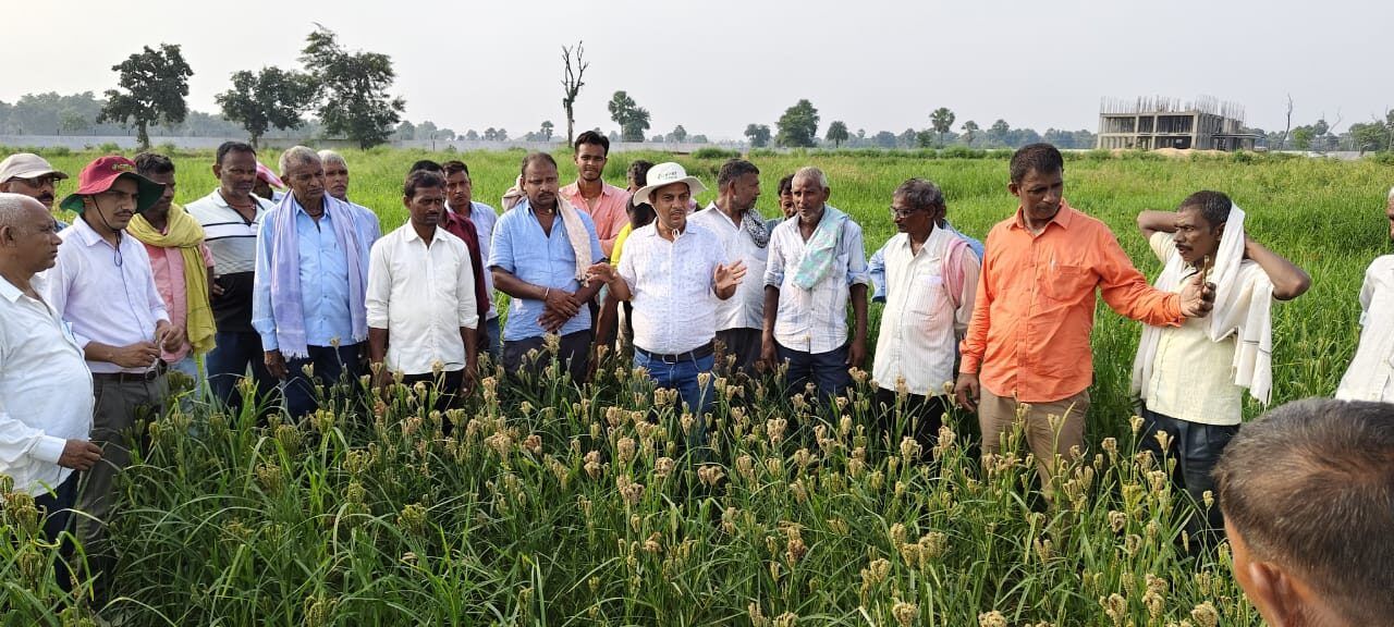 ICRISAT, Bihar Government and Local Partners Advance Food and Nutrition Security through Centre of Excellence for Millets in Gaya