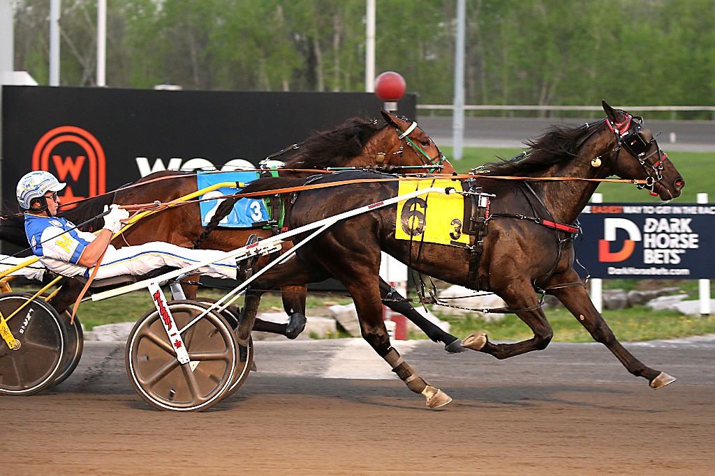 Twin B Archie winning an elimination of the SBOA Trot. (New Image Media)
