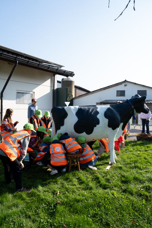 BOOST in Mol - koe melken