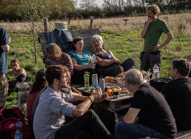 Het Zwaluweveld in Scherpenheuvel-Zichem
