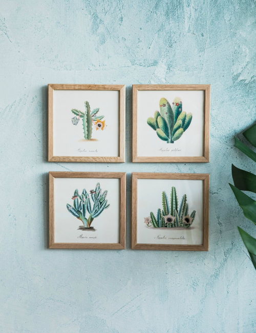 Cactus Framed Mini Prints
Price : £14.00 each