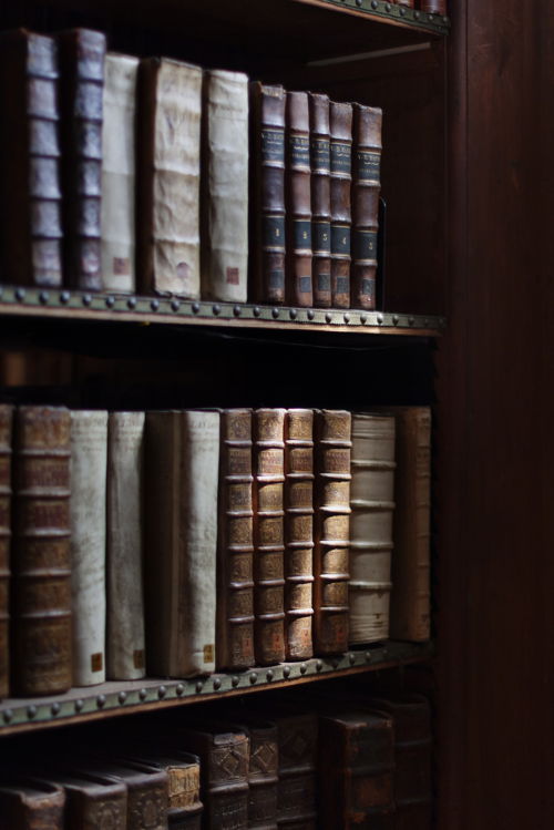 Boeken in de rekken in de Nottebohmzaal van de Erfgoedbibliotheek Hendrik Conscience. Foto door Ans Brys Boeken in de rekken in de Nottebohmzaal van de Erfgoedbibliotheek Hendrik Conscience. Foto door Ans Brys