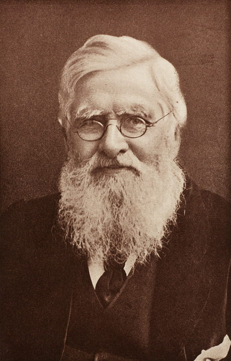 AKG5440681 Alfred Russel Wallace ©akg-images / Science Source