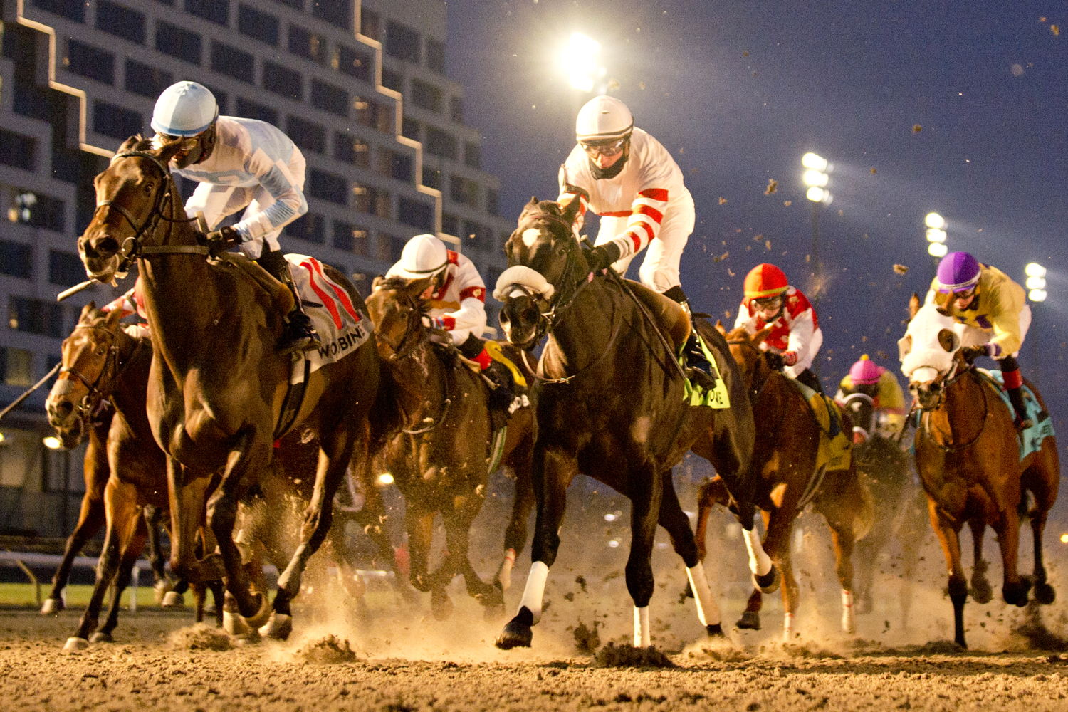 Aristella and jockey Patrick Husbands winning the Princess Elizabeth Stakes on November 30, 2024 at Woodbine (Michael Burns Photo)